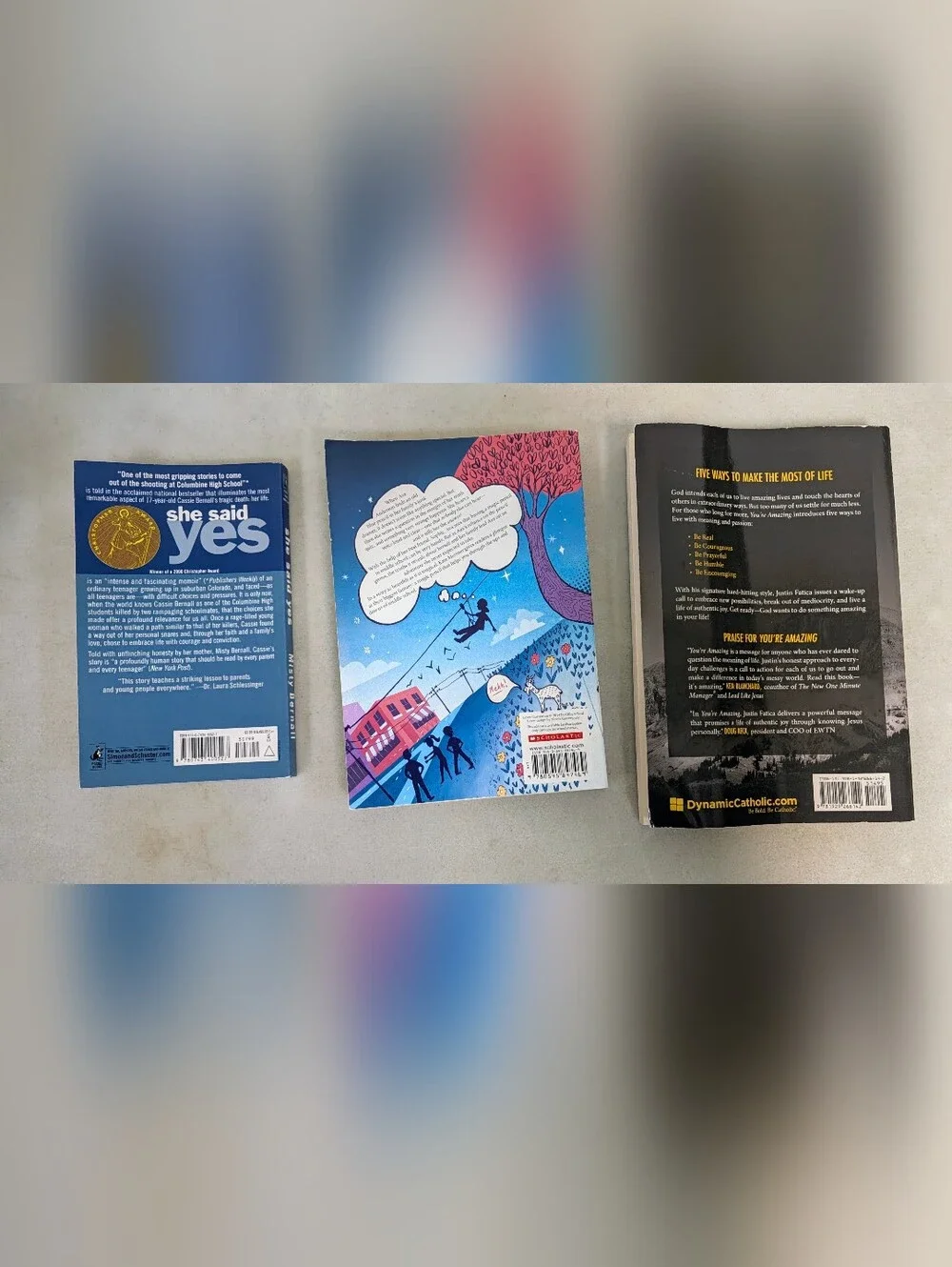 3 Book Lot She Said Yes Kate Messner All The Answers You're Amazing PB